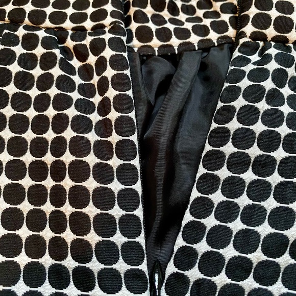 Express Skirt - size 0 - Picture 4 of 4